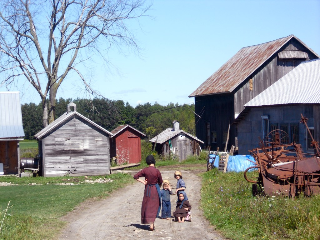 Amish farm kids