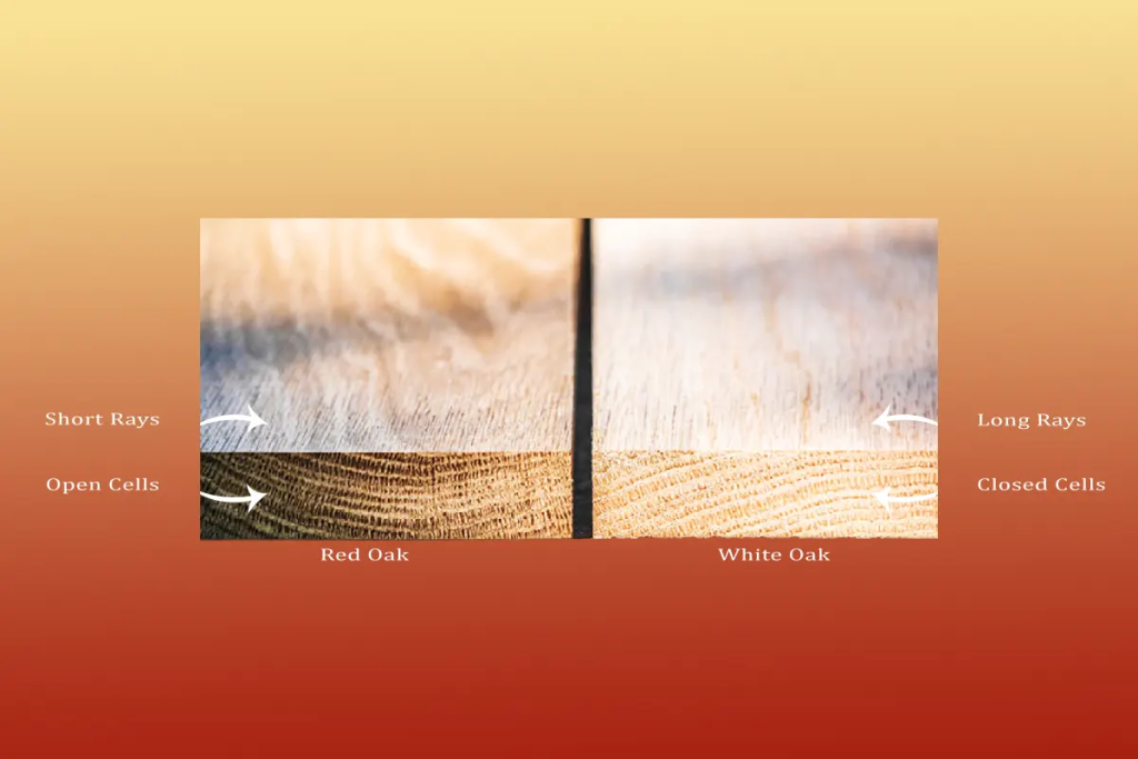 difference between red and white oak Appearance, Color Differences, and Grain Pattern Between Red and White Oak