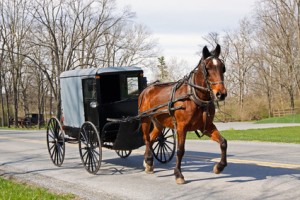 Amish Horse and Carriage