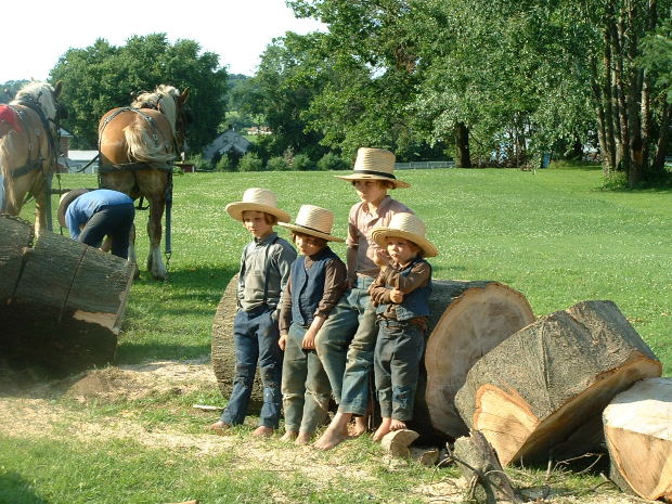 Amish Ways Archives - Page 2 of 8