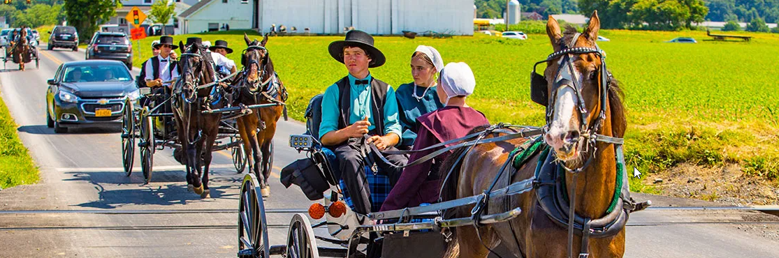 Amish Drink Alcohol