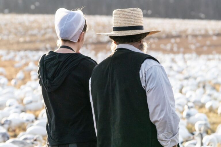 Can Amish Divorce? The Amish Beliefs and Views on Marriage - Amish
