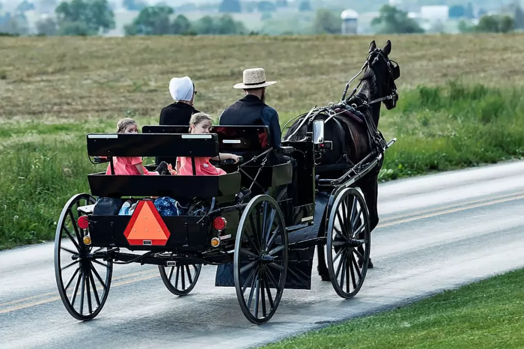 amish shunning Amish family riding on a horse buggy