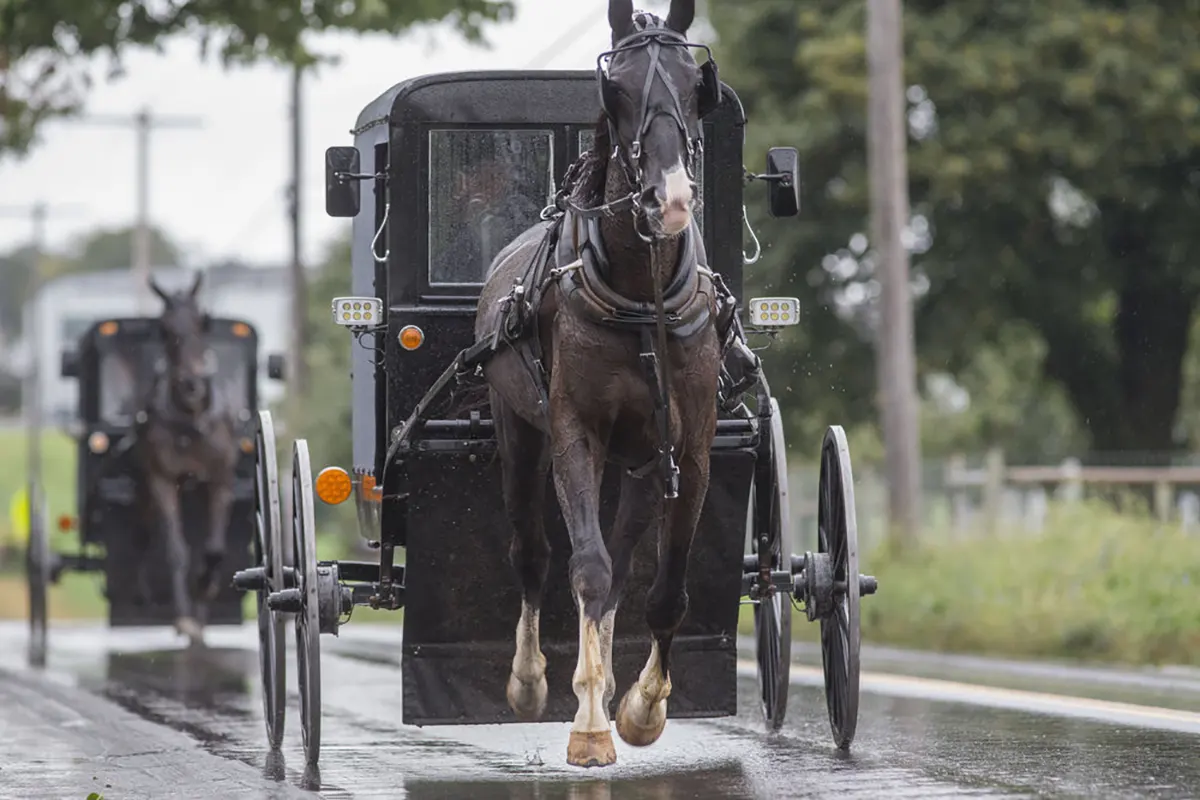 What Do Amish Believe About the End of Life?
