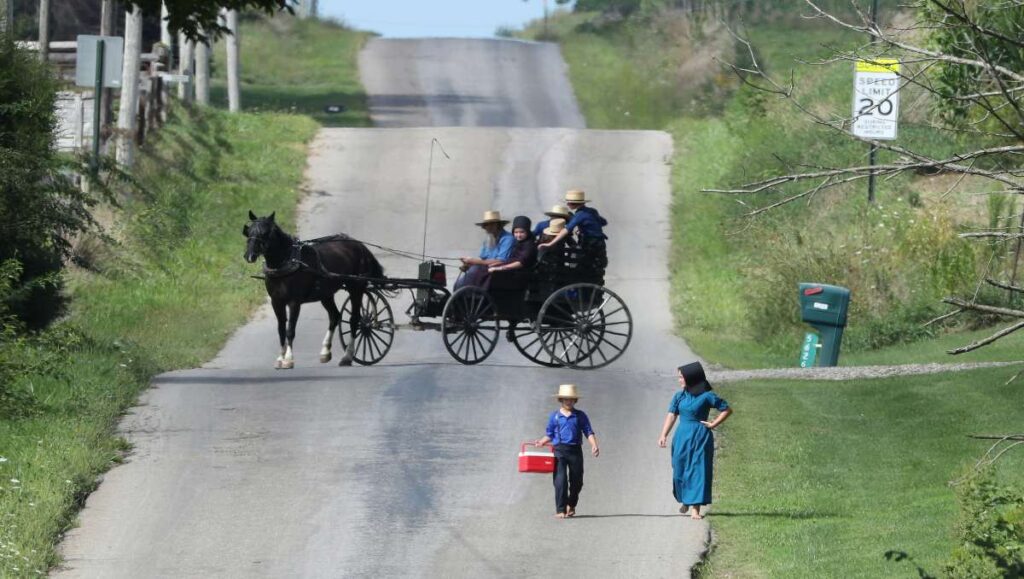 An Amish family on a horse carriage and a woman and her son walking on the street.