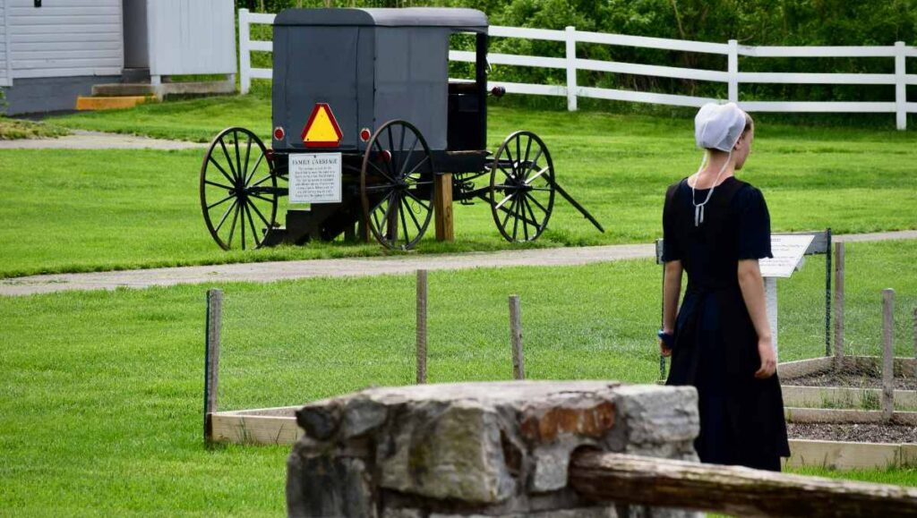 An Amish woman standing on the grass outdoors.