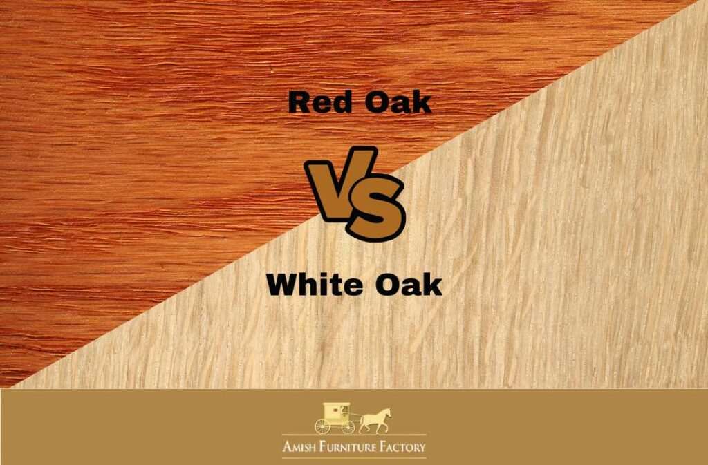 Side by side images of red and white oak.
