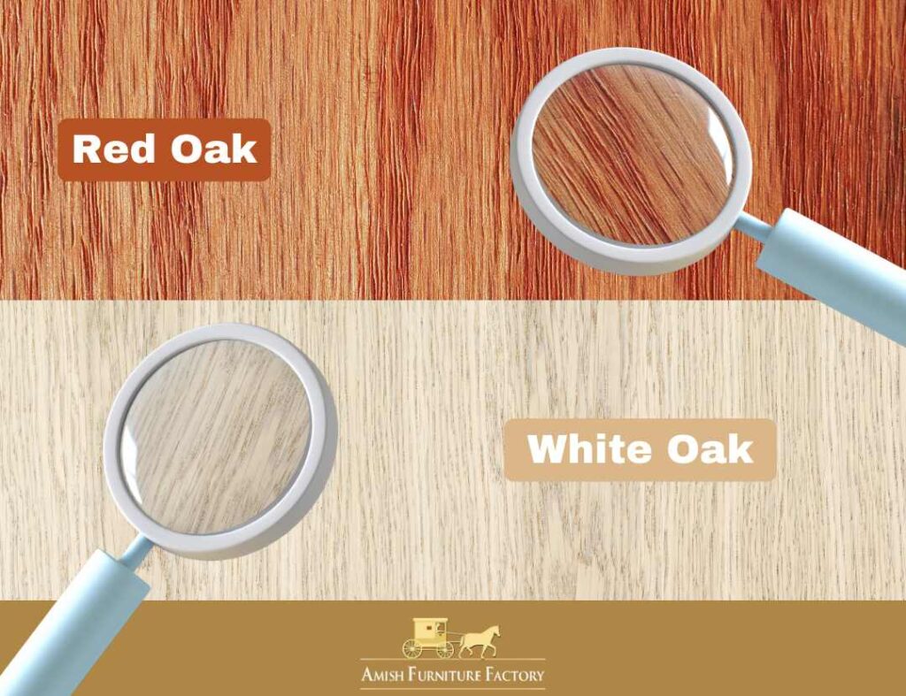 Side by side images of red and white oak zoomed in on grain patterns.