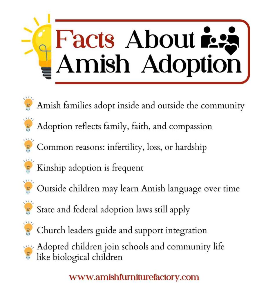 amish adoption Facts About Amish Adoption
