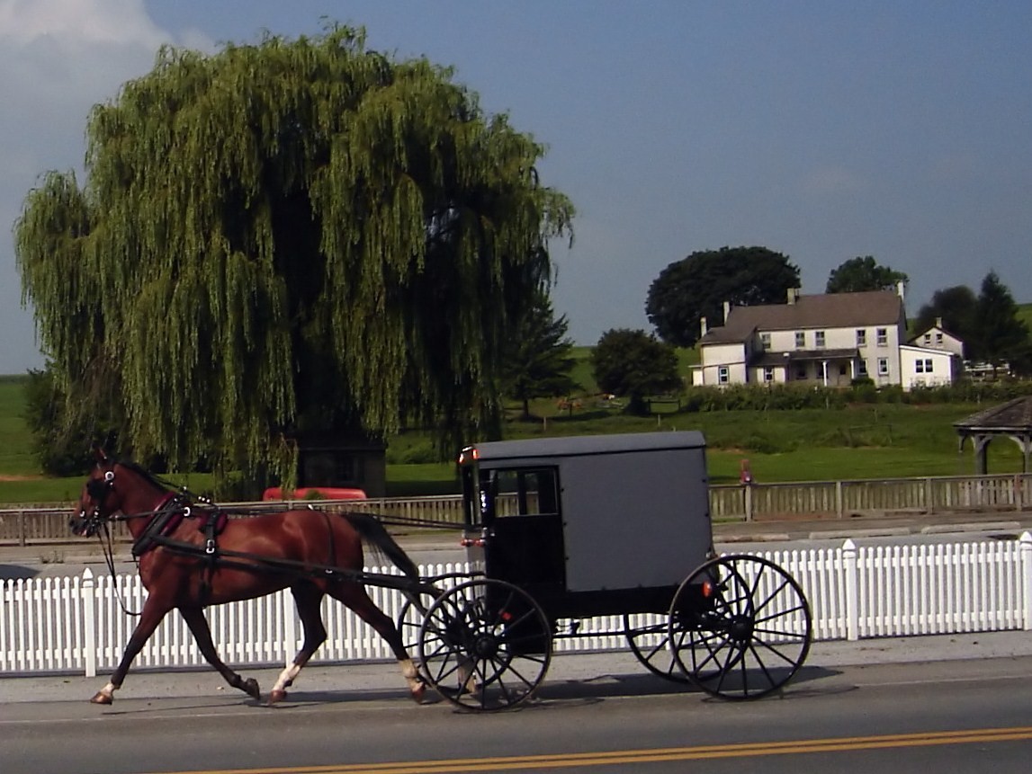  Steps To Joining The Amish - Amish Furniture Factory
