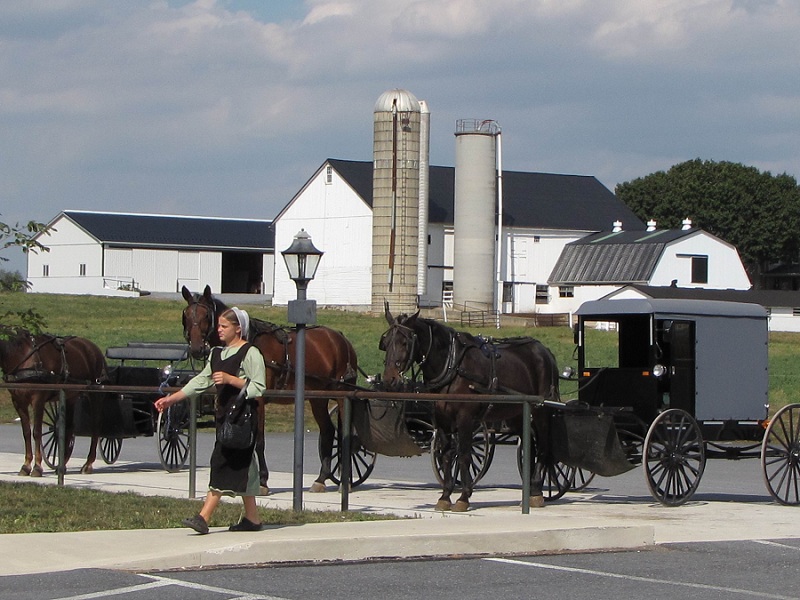 How would you like to experience the Amish lifestyle for a day?