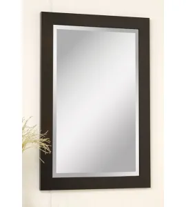 2482 Cambridge Wall Mirror