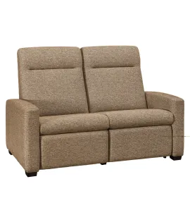 Harmony Wall Hugger Loveseat Recliner 