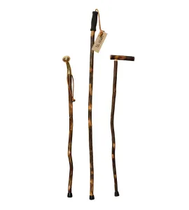 Cane Stand with Canes