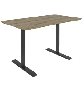 Dawsyn Adjustable Desk