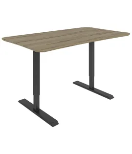 Dawsyn Adjustable Desk