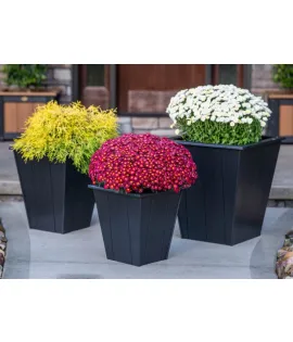 Elite Poly Vinyl Planter Set