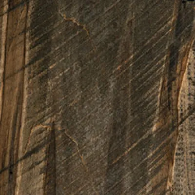 SP-RSBM-Carbon FC50240 