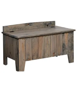 Gold Mine Treasurer Chest