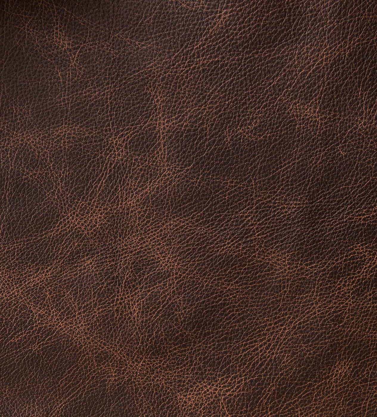 Leather Texas